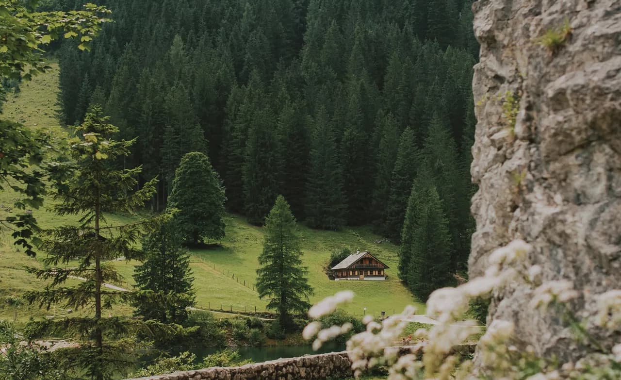 A chalet in an alpine valley surrounded by firs